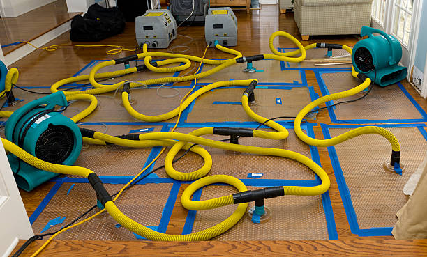 Professional Flood Damage Restoration technician working in Magnolia, MN